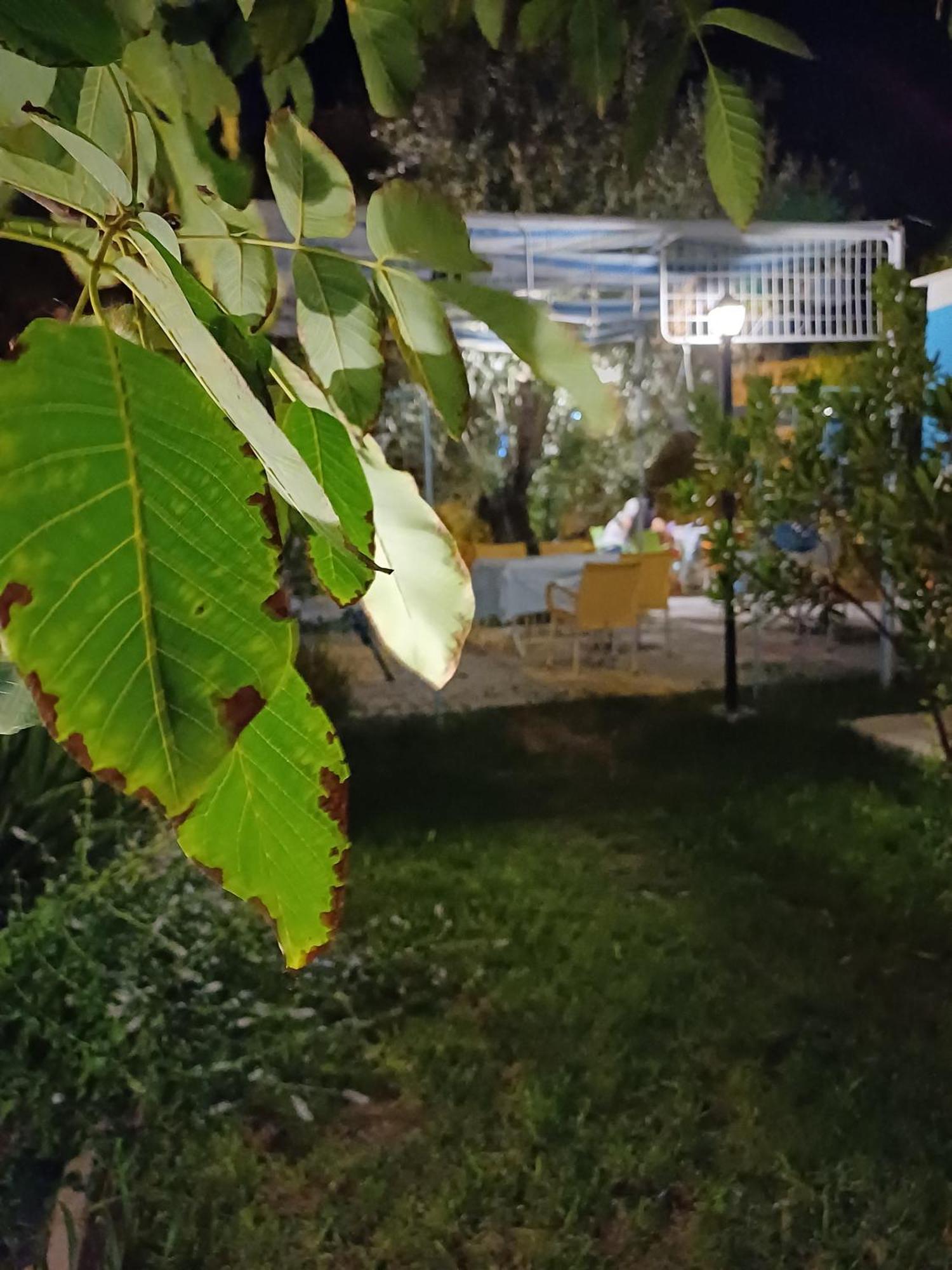 The Cotton House 2*
